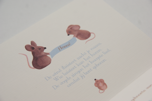 geboortekaartje noah lichtblauw